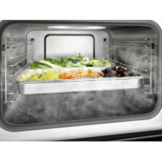 Парова шафа Miele DGM 7440 CleanSteel